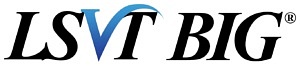 LSVT BIG logo 300x66